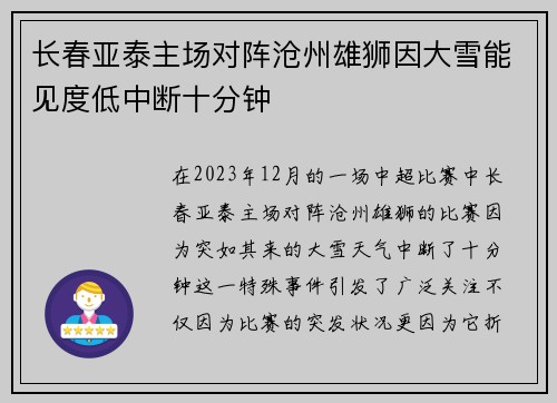 长春亚泰主场对阵沧州雄狮因大雪能见度低中断十分钟